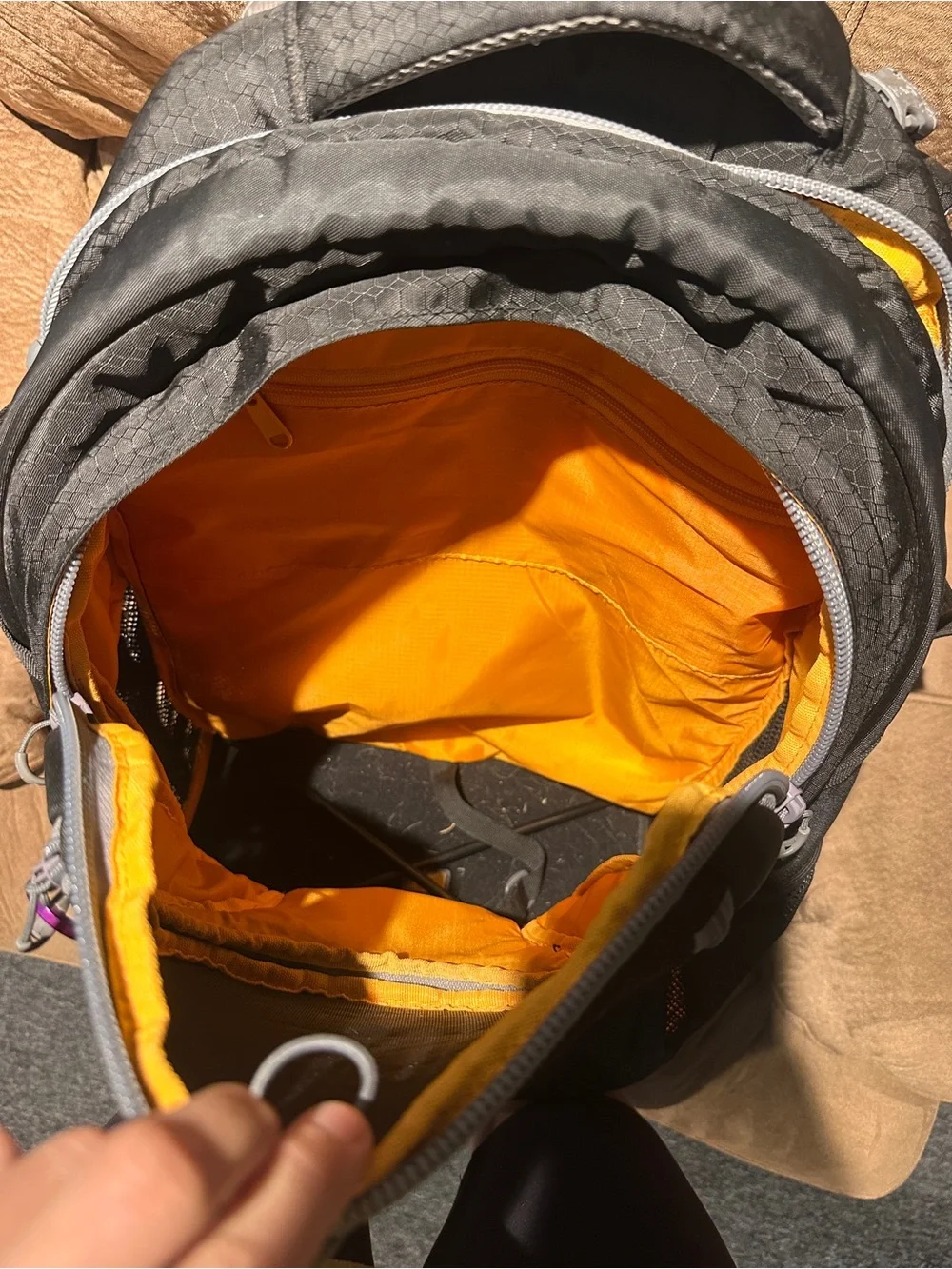 Kurgo g train dog backpack